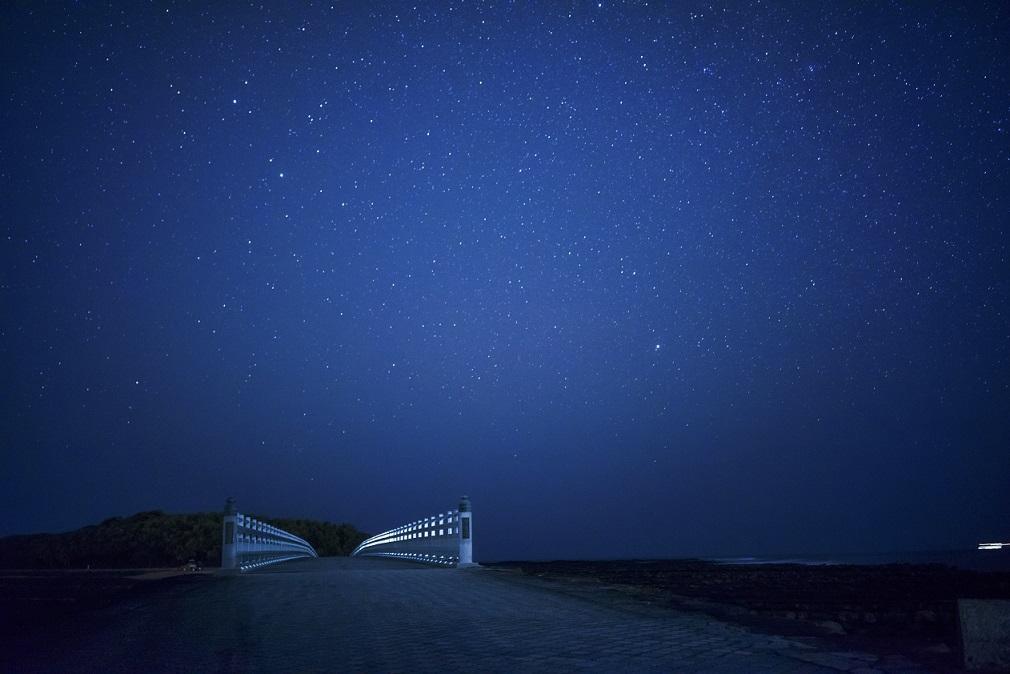 残したい想いが、残っていくものとなる～『月夜の青島』ワークショップコレクション～