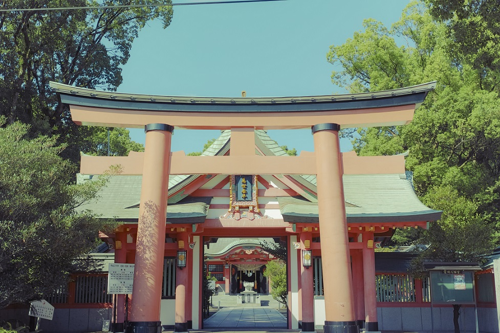 Miyazaki Days #11