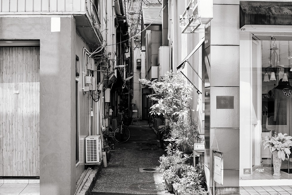 Miyazaki Days #11