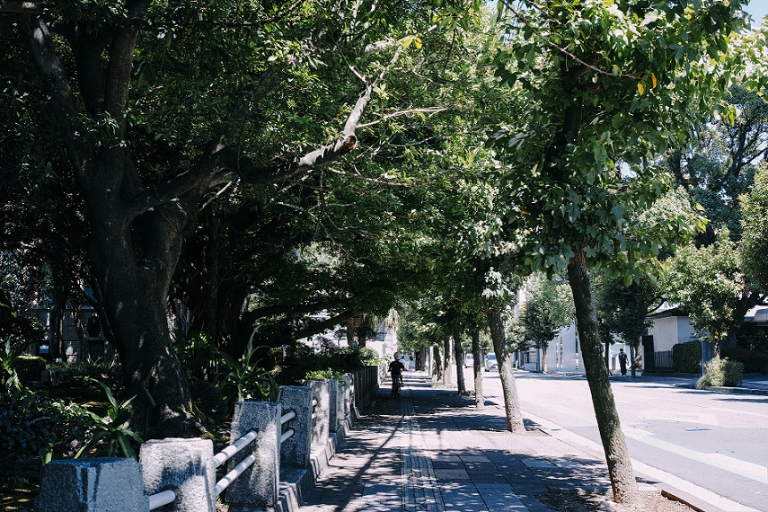 Miyazaki Days #07