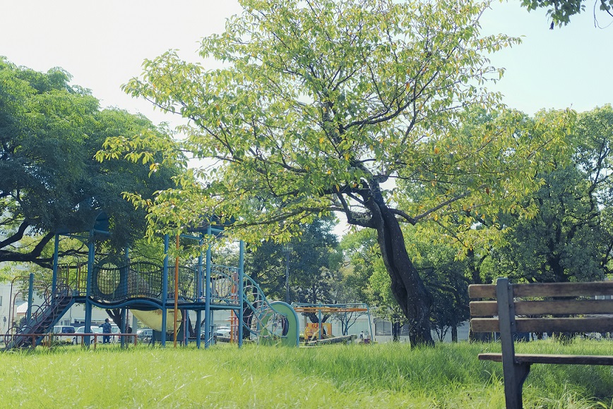 Miyazaki Days #15